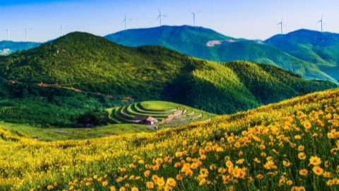 It's time to visit Ningbo's tourism attractions - Shanghai Metro News