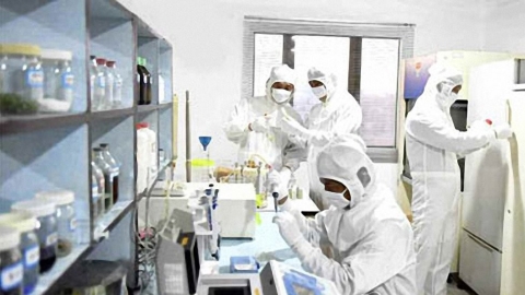 Top DPRK leader holds politburo meeting to discuss anti-virus situation - World News