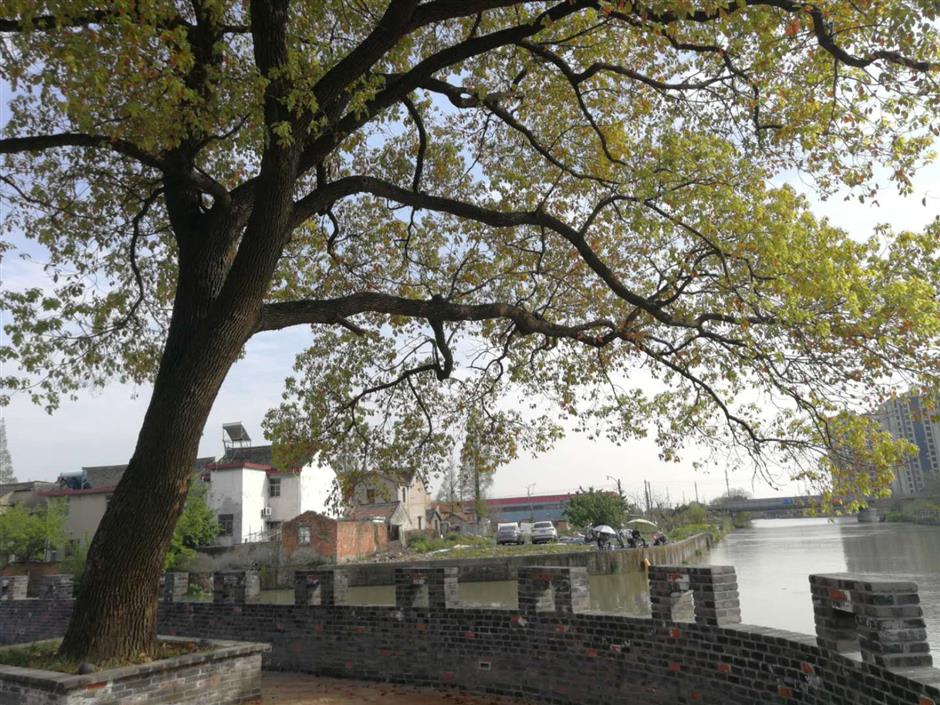 A new lease of life for beers and barns in Songjiang