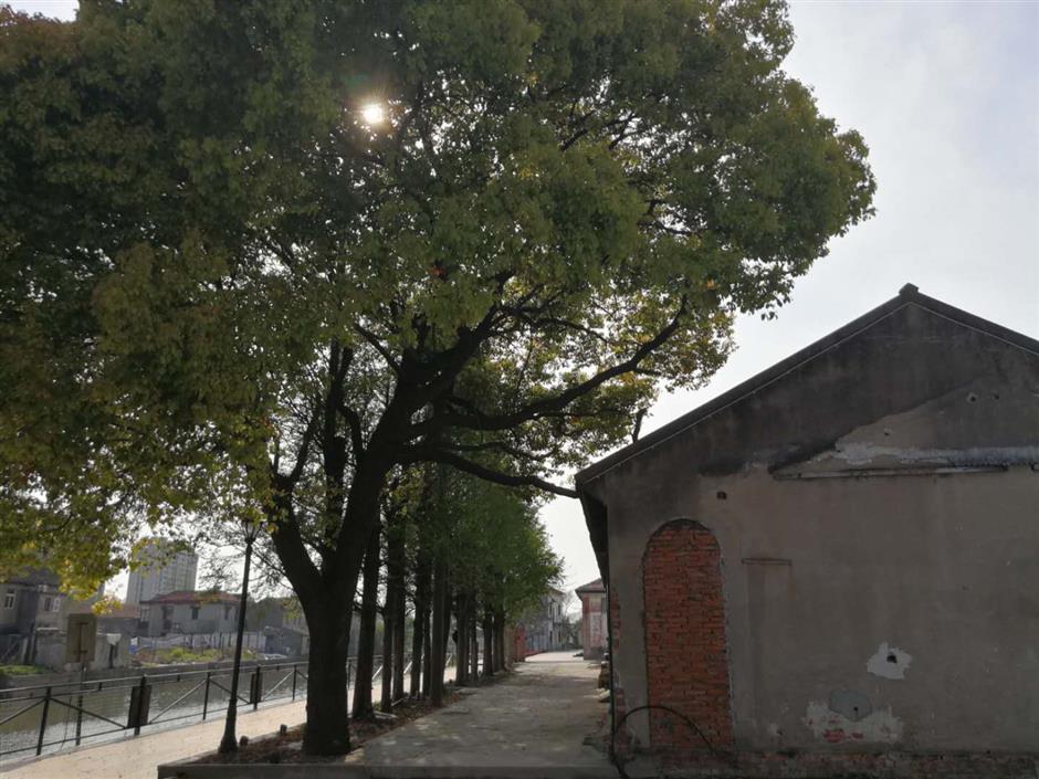 A new lease of life for beers and barns in Songjiang