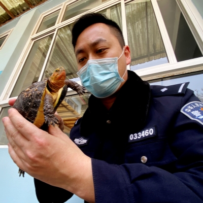 Police round up dozens of endangered animal traders