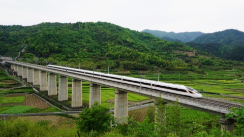Rail traffic surges again as holiday winds down - Shanghai Metro News