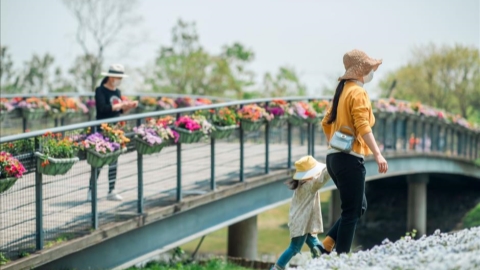Millions take a break in Shanghai's parks - Shanghai Metro News