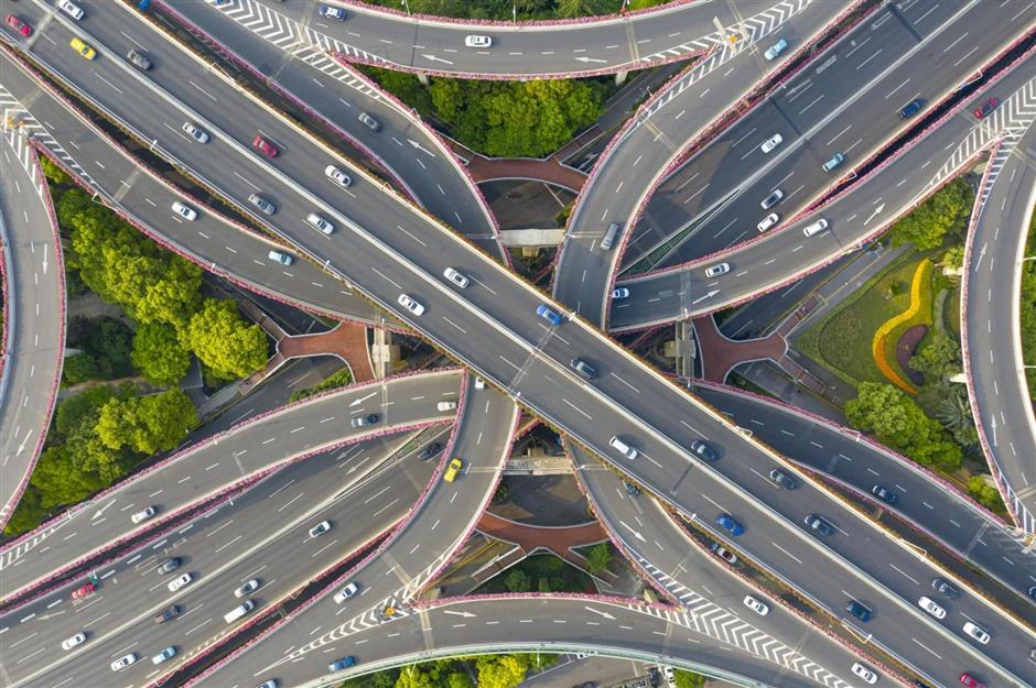 Chinese roses decorate city's elevated roads