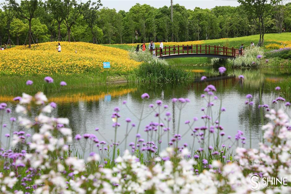 Baoshan medical workers first to enjoy 'Mother's Flower Culture Festival'