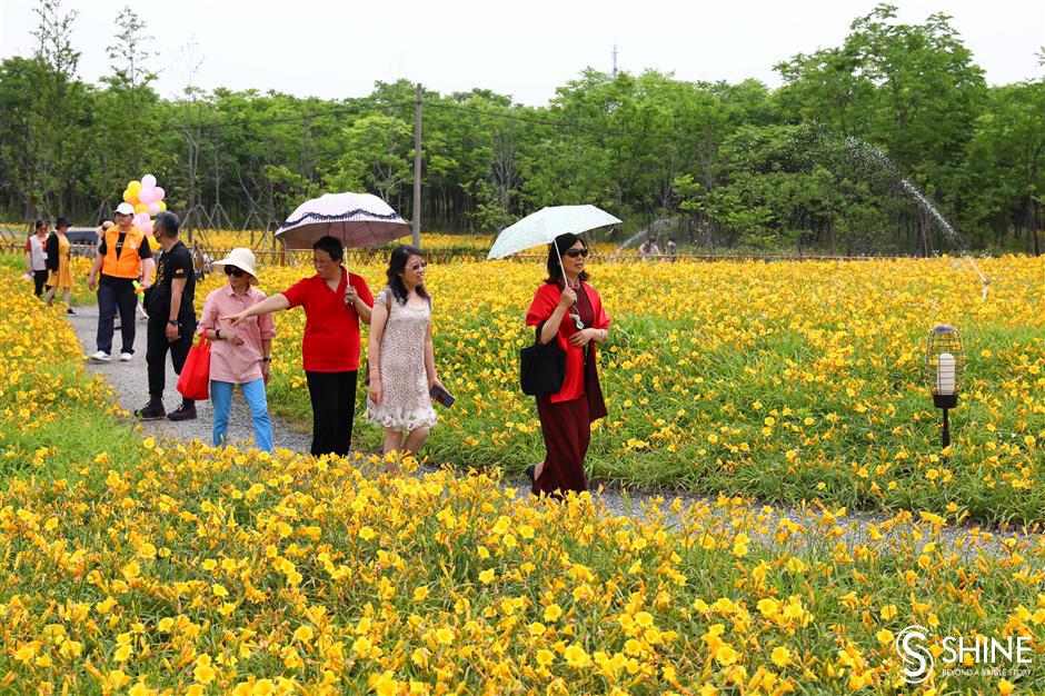 Baoshan medical workers first to enjoy 'Mother's Flower Culture Festival'