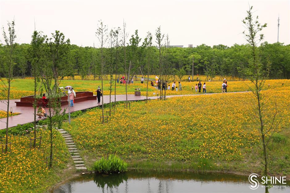 Baoshan medical workers first to enjoy 'Mother's Flower Culture Festival'