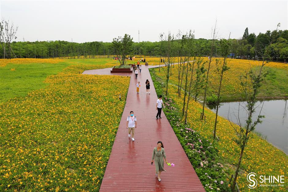 Baoshan medical workers first to enjoy 'Mother's Flower Culture Festival'