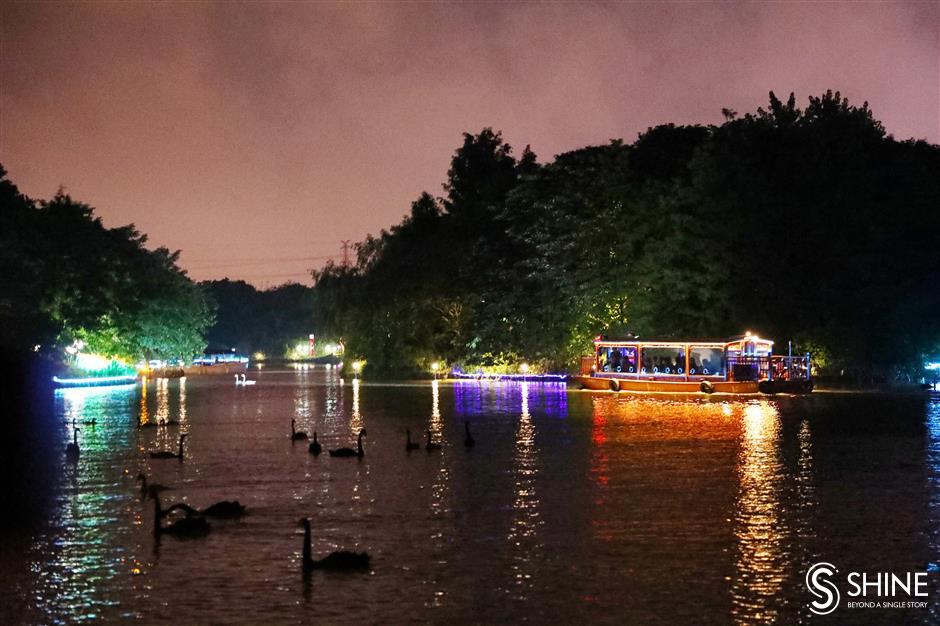 It's all right on the night at Shanghai Wild Animal Park