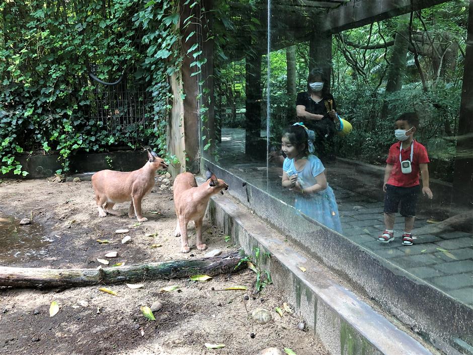 Shanghai Zoo welcomes new animal residents