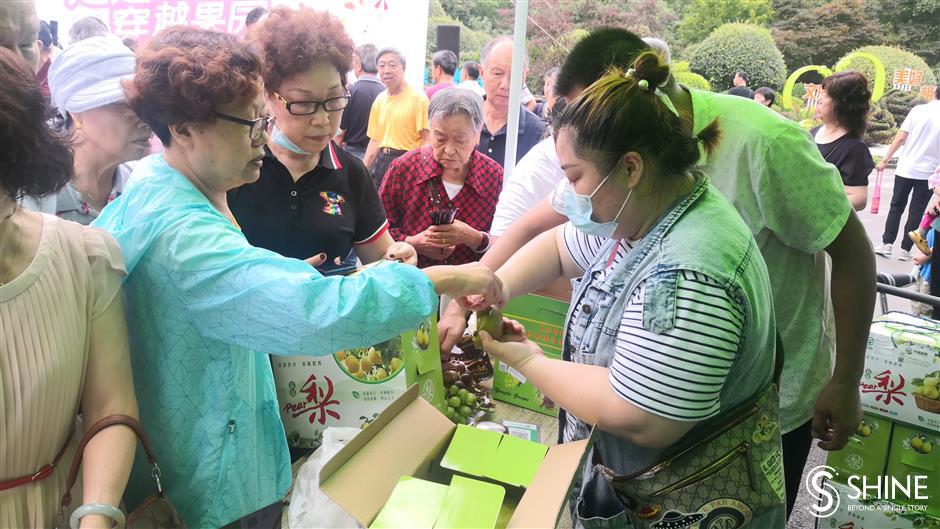 Best of countryside's summer fruit on sale in city parks