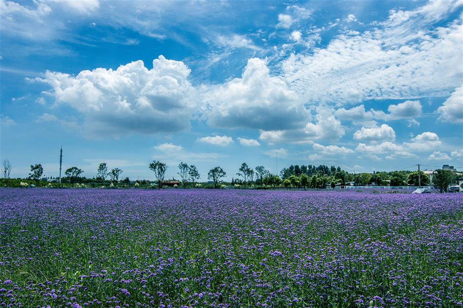 Baoshan villages at heart of revitalization