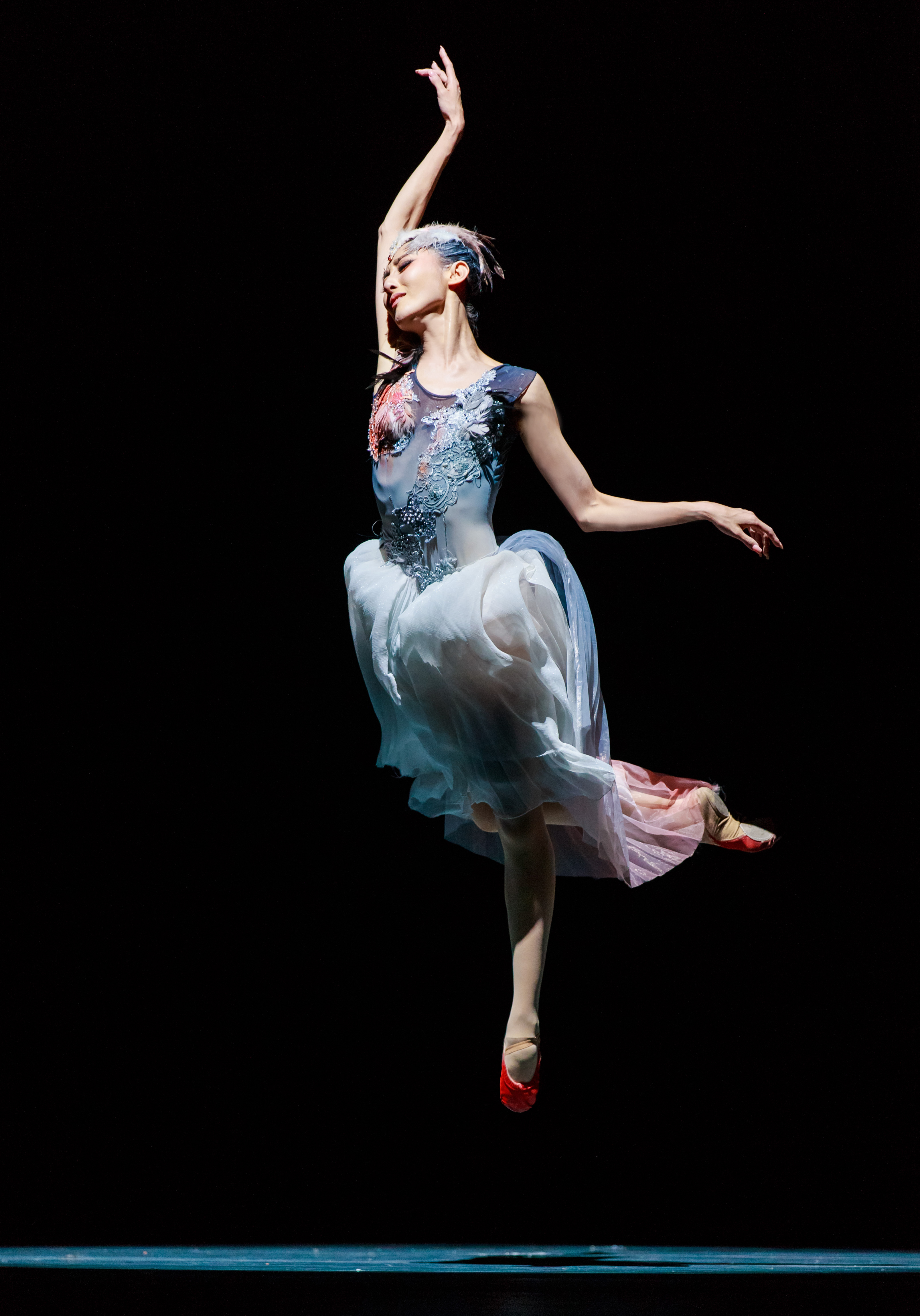 man and the crested ibis: a dance of eco-aspiration