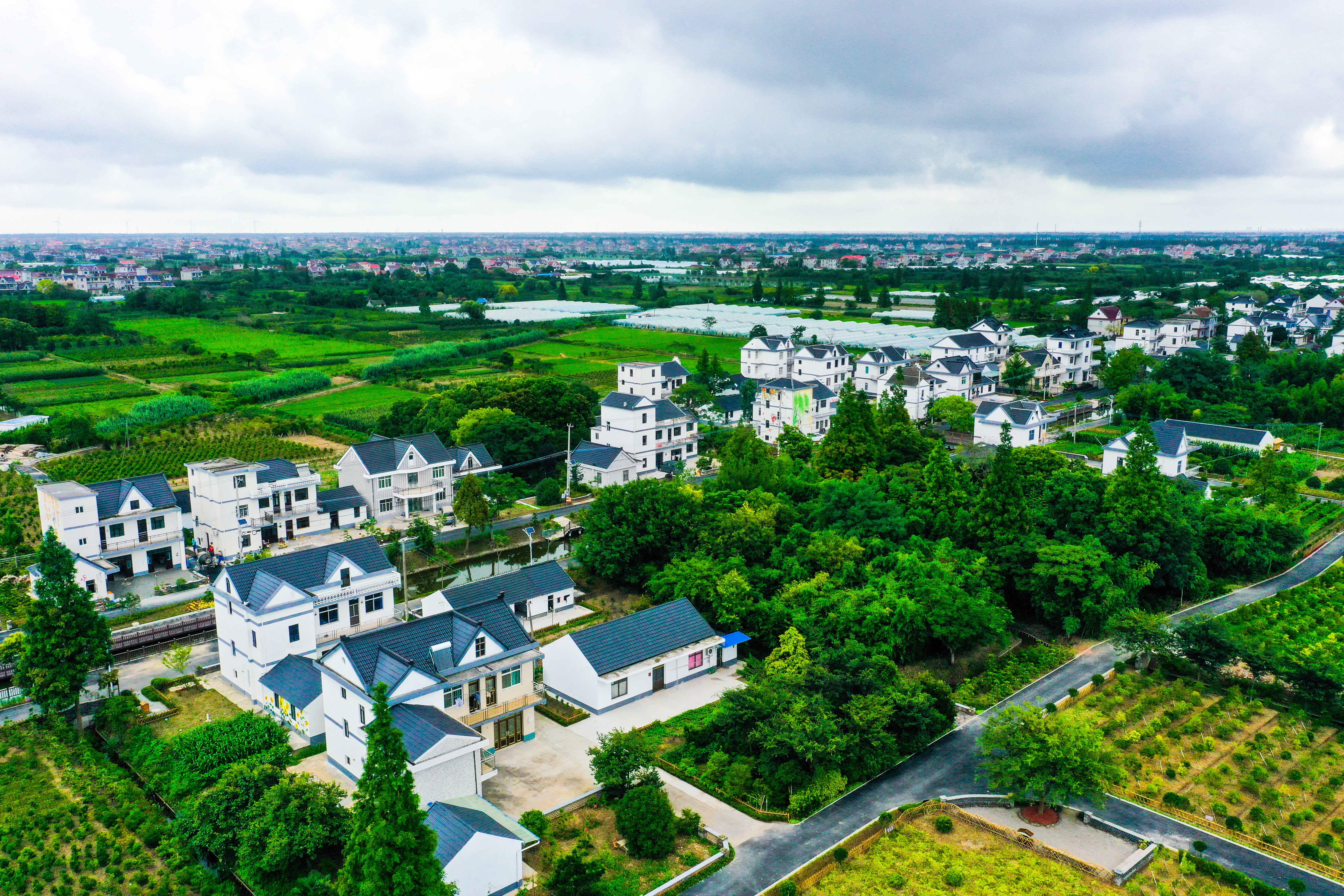 chongming attracts more tourists this year