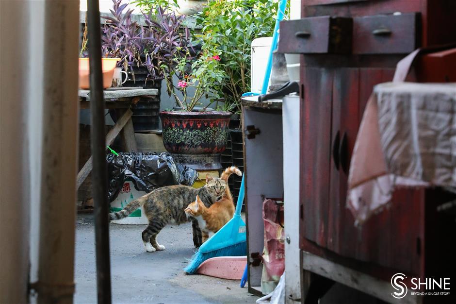 Searching for memories in Shanghais alleys