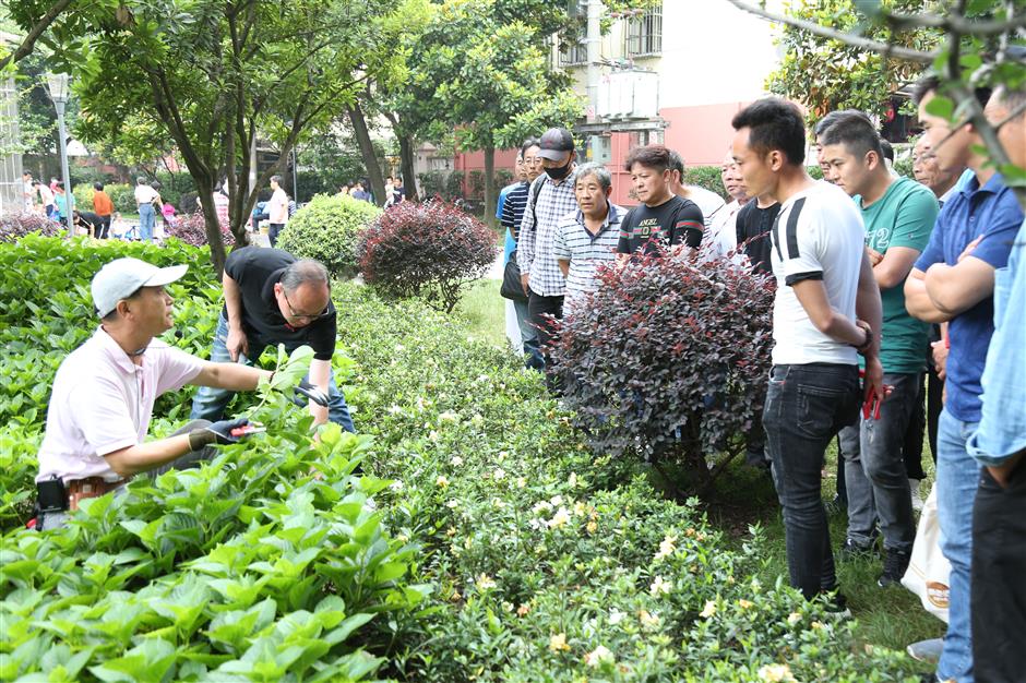 One mans mission: a city awash in flowers all year-round