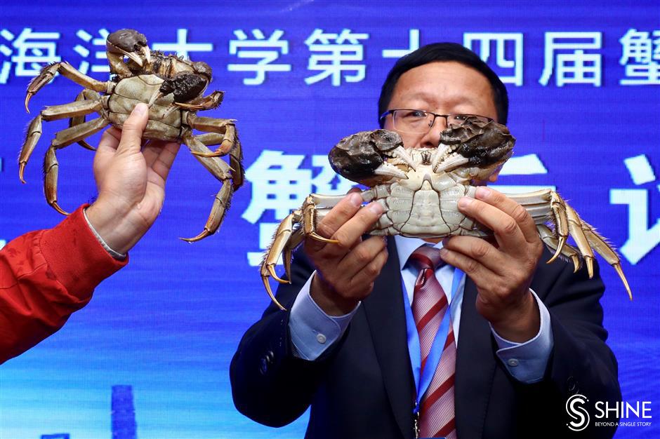 Jiangxi hairy crabs crowned king and queen