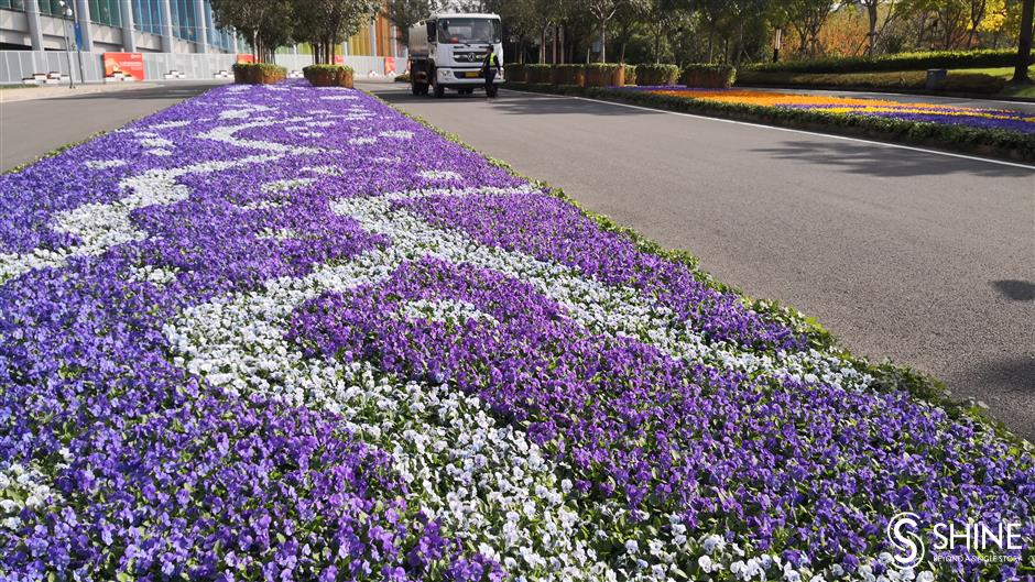 Import expo venue awash with natural color