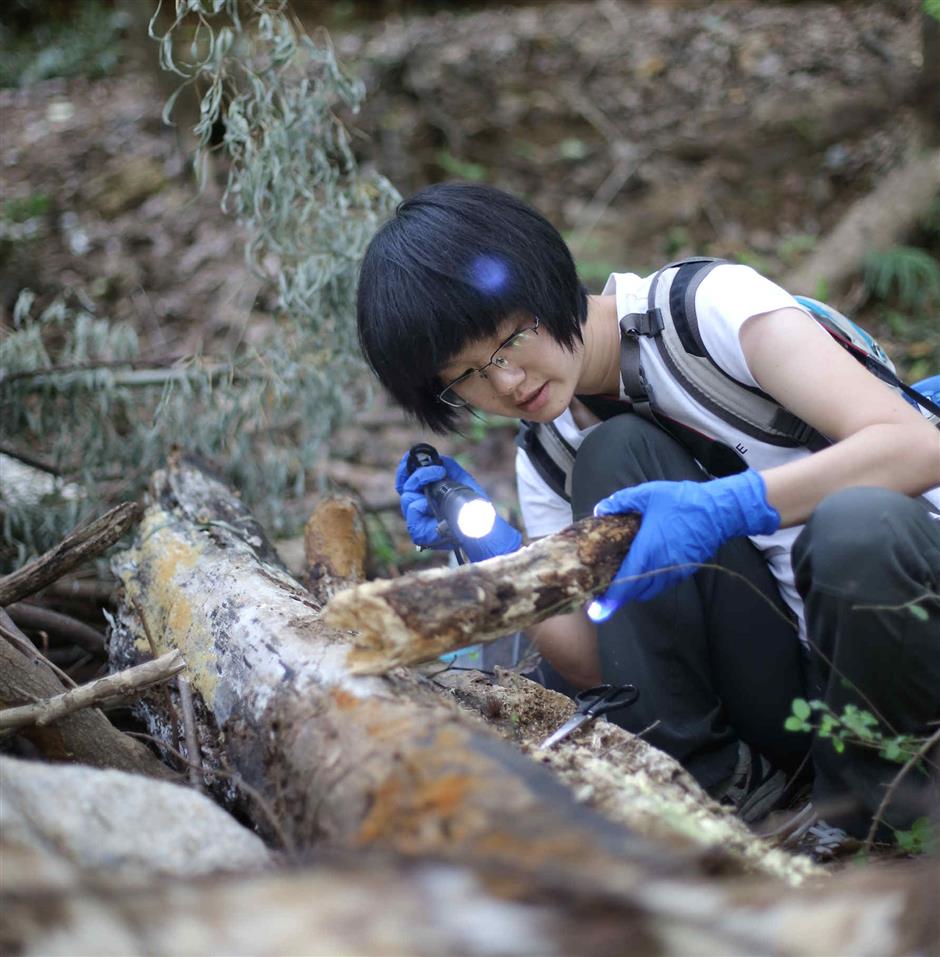 Slime molds: Their beauty is in the eye of the beholder