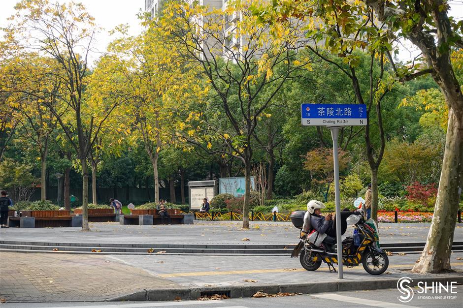 Autumn colors smile brightly on Shanghai