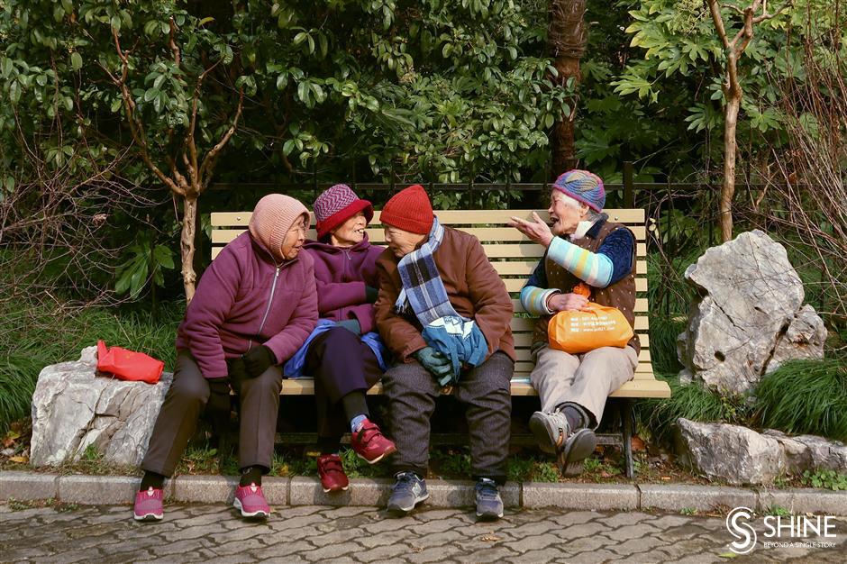 Comforting view of park life from a bench