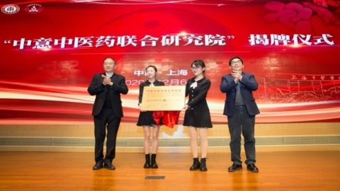 China and Italy tag team to create TCM institute - Vimarsana News