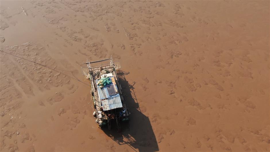 River workers held in illegal fishing case