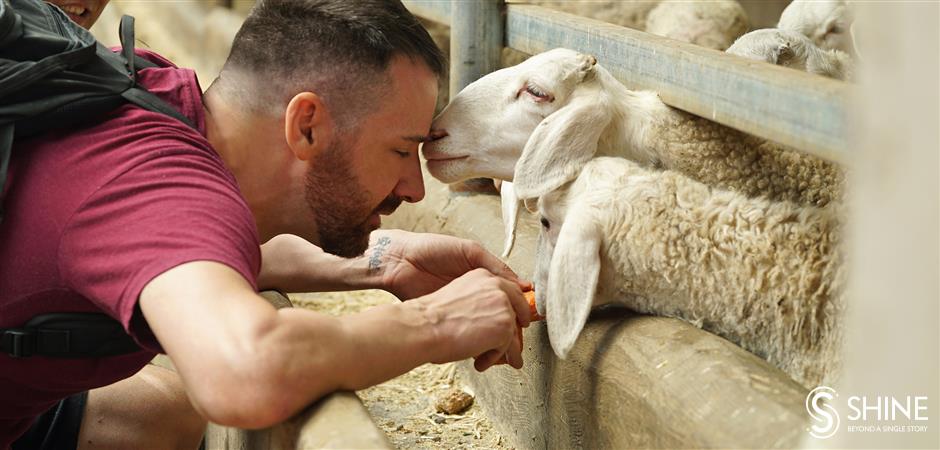 Lamb and the mighty spud: How food helped pull this Chinese county out of poverty