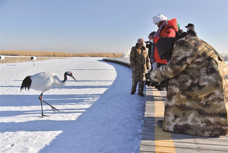 Freezing fun warms wintertime hearts across China