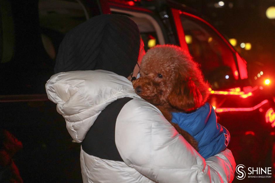 Pip pip hooray! Some lucky stray dogs land in loving new homes