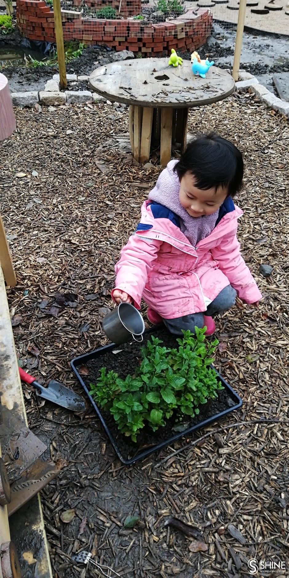 Worm hotels, beauty and hope for the future