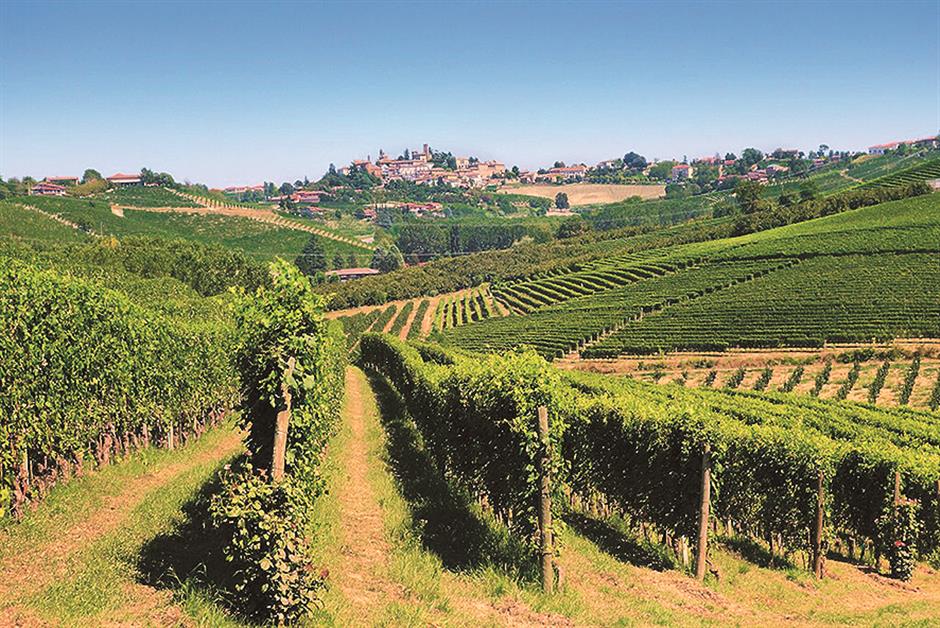 Unearthing Italian vino gems