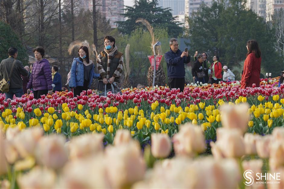 Spring is here, with a splash of light rain