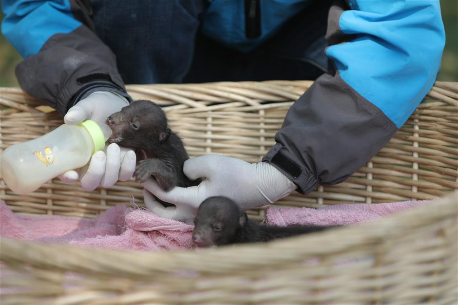 Park seeks names for wild animal newborns