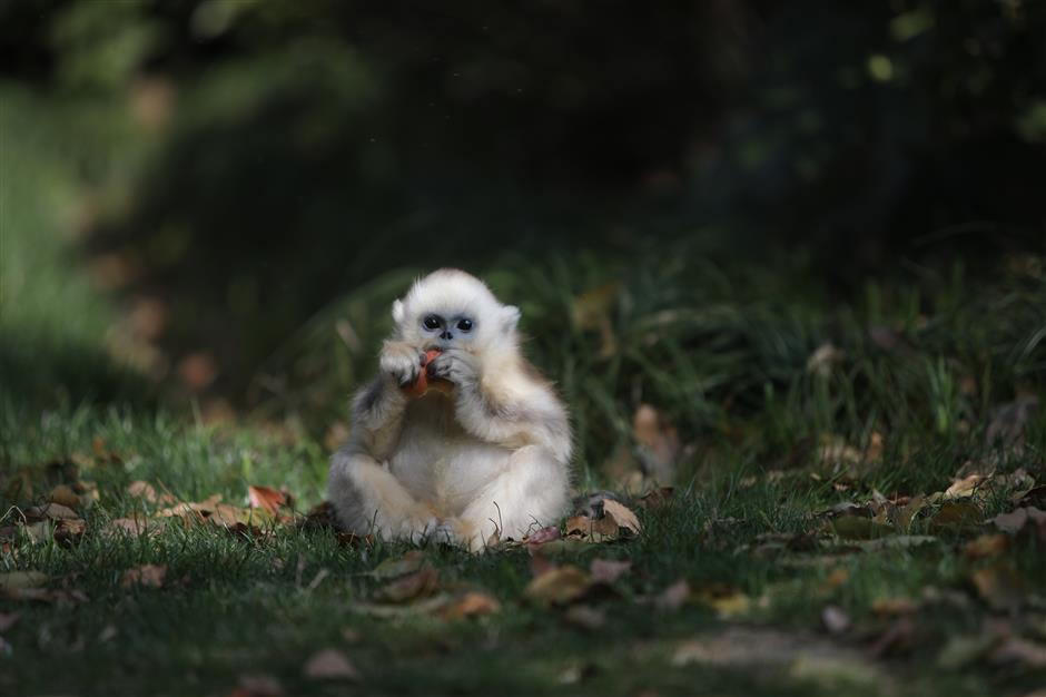 Park seeks names for wild animal newborns