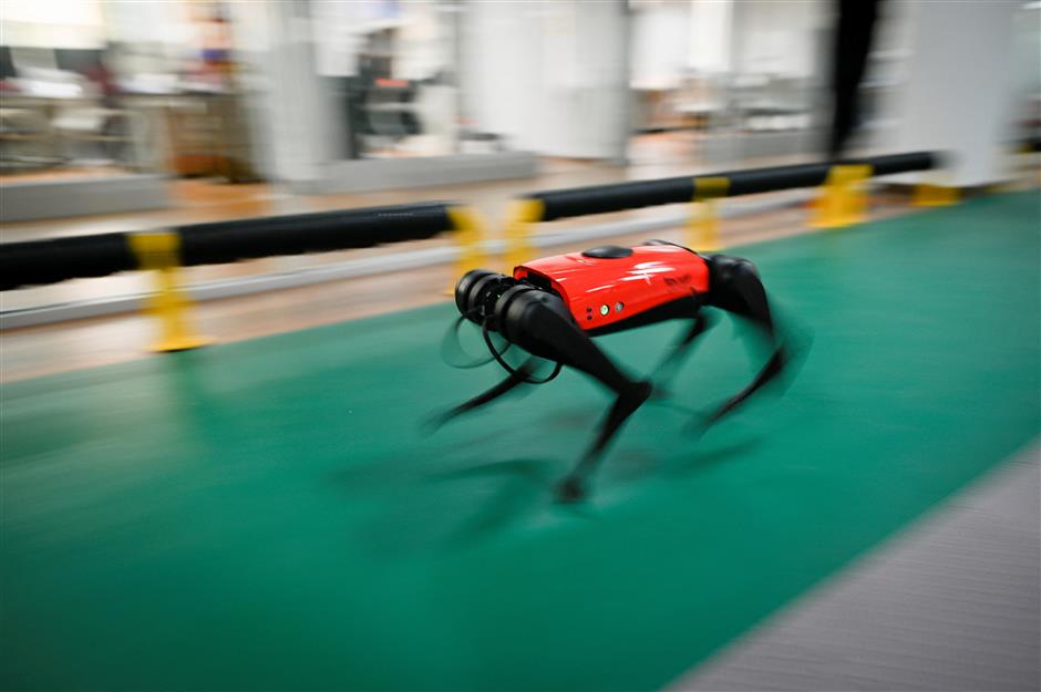 The ulti-mutt pet? Chinese tech company develops robo-dogs