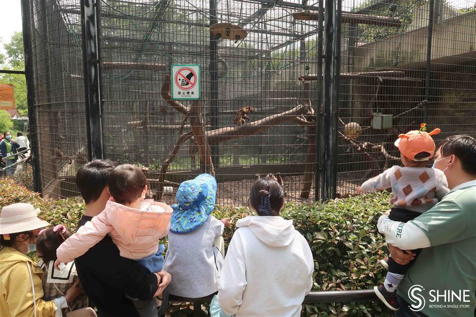 Visitors feeding the animals turns zookeepers stomachs