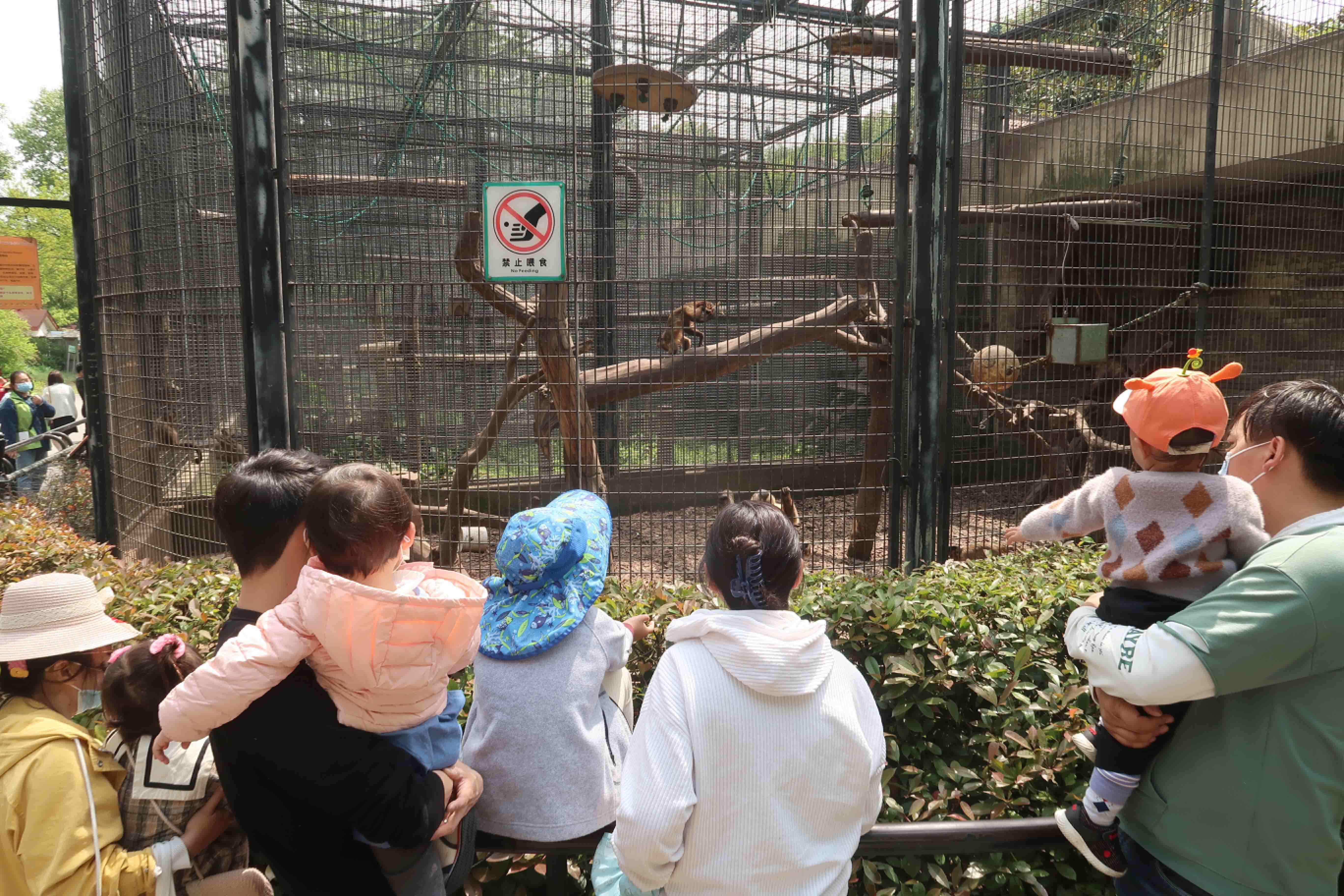 Visitors feeding the animals turns zookeepers' stomachs SHINE News