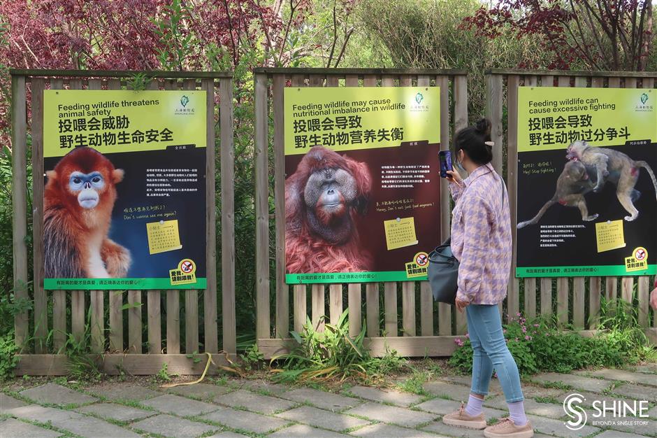 Visitors feeding the animals turns zookeepers stomachs