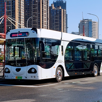 Panda bus impresses tourists on Xuhui riverside