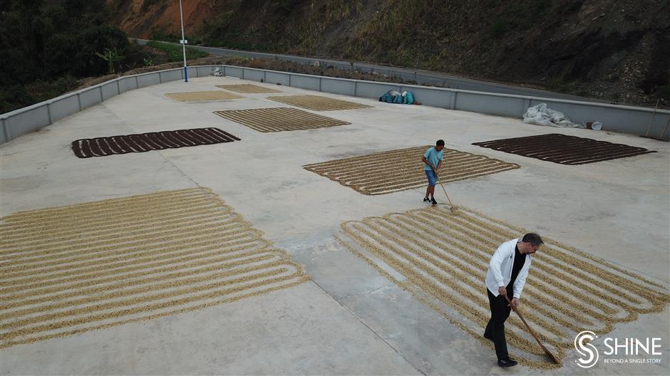 Farms in remote mountains fill Shanghais coffee cups