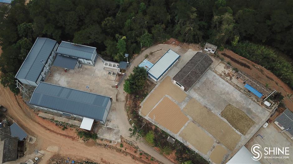 Farms in remote mountains fill Shanghais coffee cups