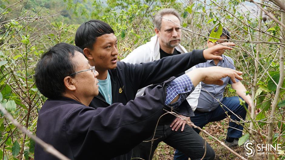 Farms in remote mountains fill Shanghais coffee cups