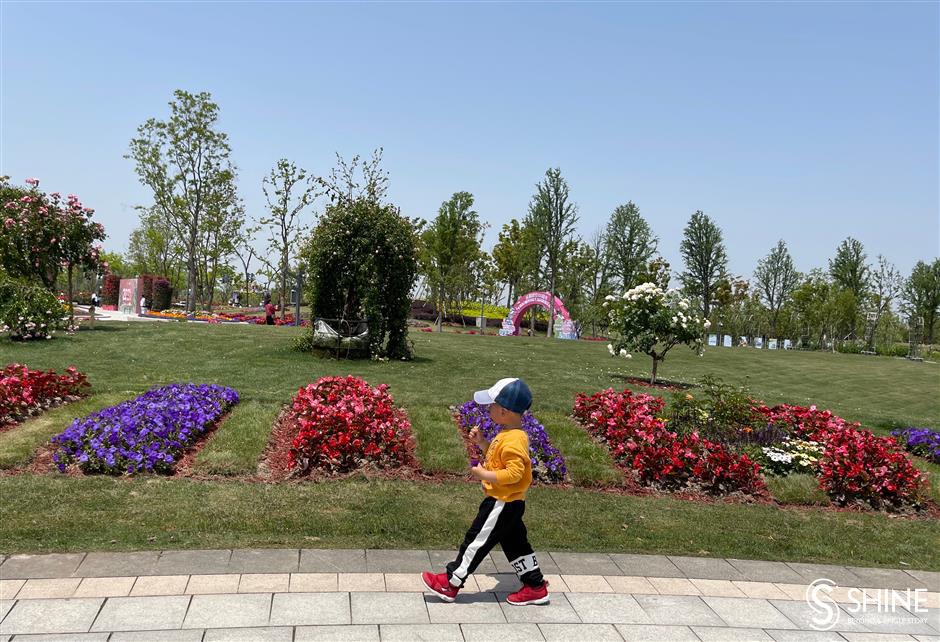 Flower festival highlights new city blueprint