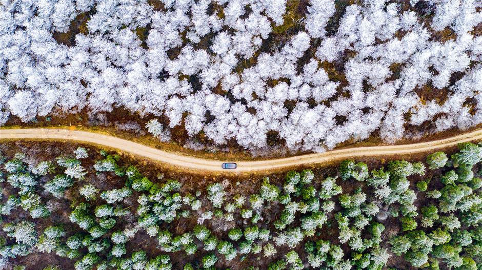 Zhejiang city rolls out red carpet to Shanghai tourists