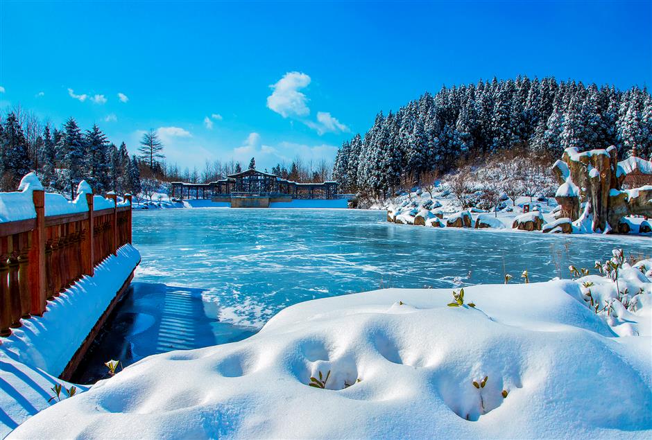 Zhejiang city rolls out red carpet to Shanghai tourists