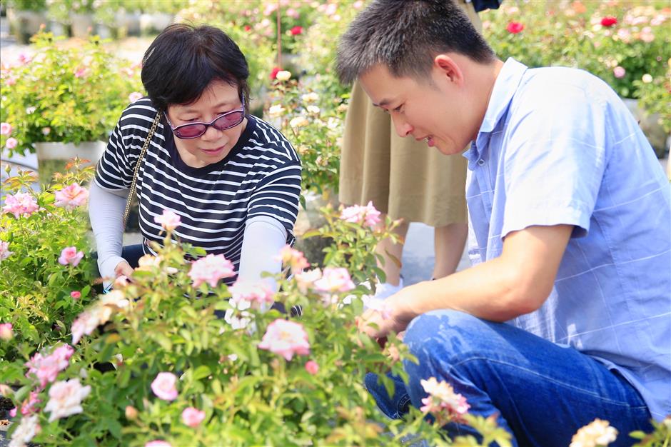 Everythings coming up roses for Hangzhou