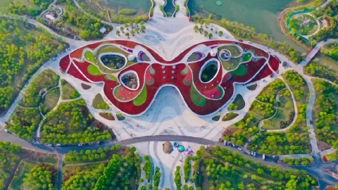 Transit rules for 10th China Flower Expo