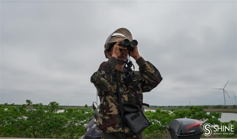 Wetland birdsong indicates the health of an ecosystem