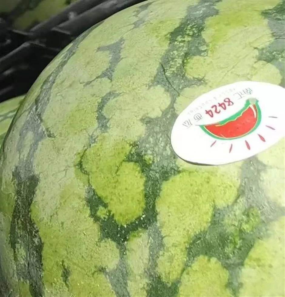 Supermarket accused of selling inauthentic melons